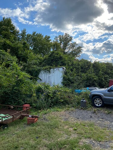 boxtruck in vines