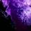 Jack_Palmer