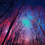 spiritcousin